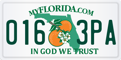 FL license plate 0163PA