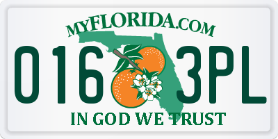 FL license plate 0163PL