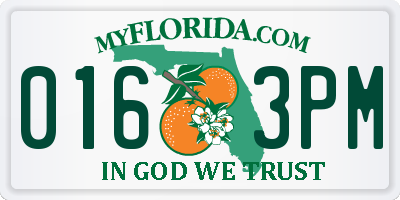 FL license plate 0163PM