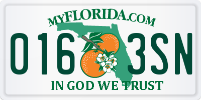 FL license plate 0163SN