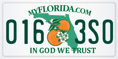FL license plate 0163SO