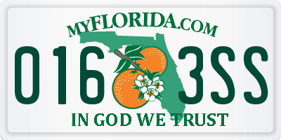 FL license plate 0163SS