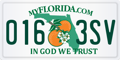 FL license plate 0163SV