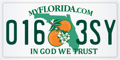 FL license plate 0163SY