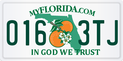 FL license plate 0163TJ