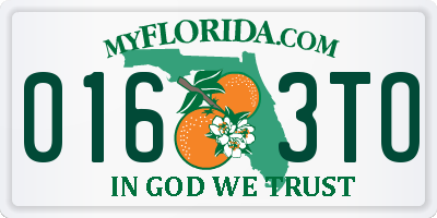 FL license plate 0163TO