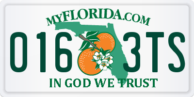 FL license plate 0163TS