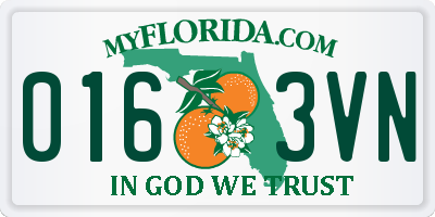 FL license plate 0163VN