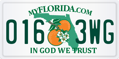 FL license plate 0163WG