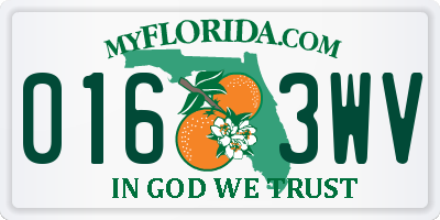 FL license plate 0163WV