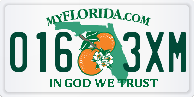 FL license plate 0163XM