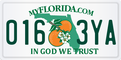FL license plate 0163YA