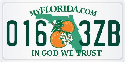 FL license plate 0163ZB
