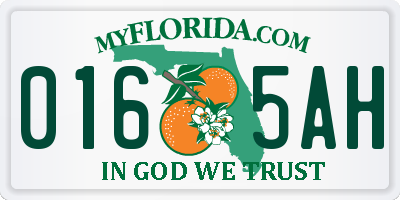 FL license plate 0165AH