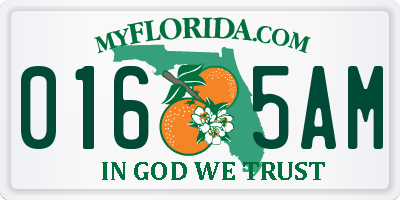 FL license plate 0165AM