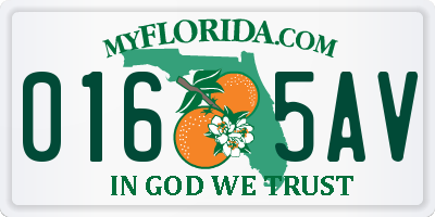 FL license plate 0165AV