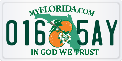 FL license plate 0165AY