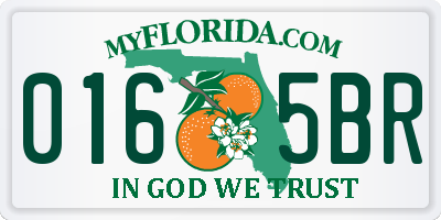 FL license plate 0165BR