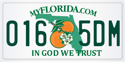 FL license plate 0165DM