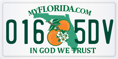 FL license plate 0165DV