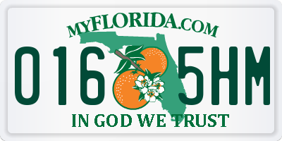 FL license plate 0165HM