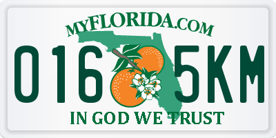FL license plate 0165KM