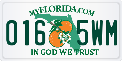 FL license plate 0165WM