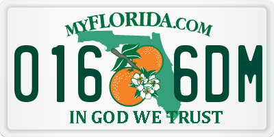 FL license plate 0166DM