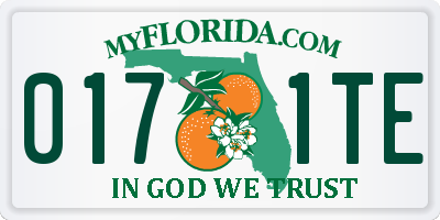 FL license plate 0171TE