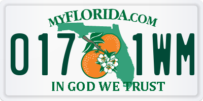 FL license plate 0171WM
