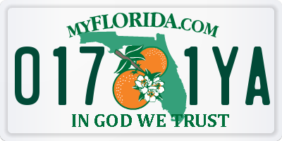 FL license plate 0171YA
