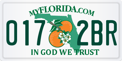 FL license plate 0172BR