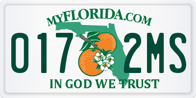 FL license plate 0172MS