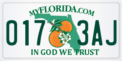 FL license plate 0173AJ