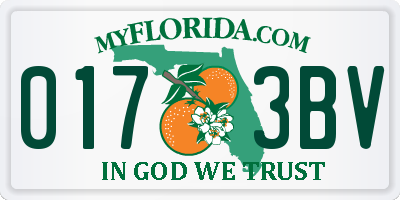 FL license plate 0173BV