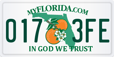 FL license plate 0173FE