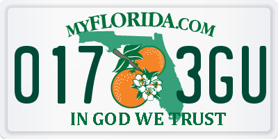 FL license plate 0173GU