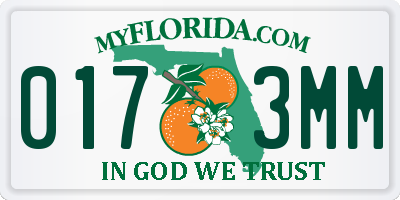 FL license plate 0173MM