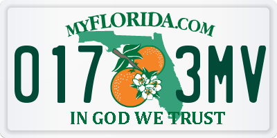 FL license plate 0173MV