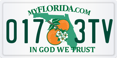 FL license plate 0173TV