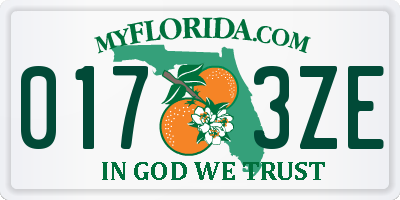FL license plate 0173ZE