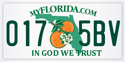 FL license plate 0175BV
