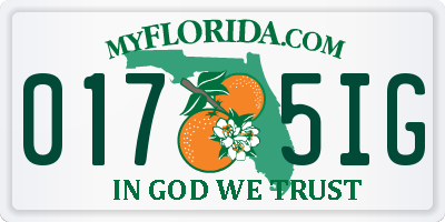 FL license plate 0175IG