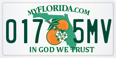 FL license plate 0175MV