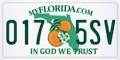FL license plate 0175SV