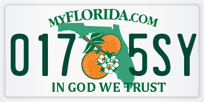 FL license plate 0175SY