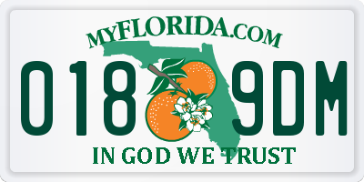 FL license plate 0189DM