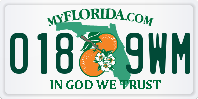 FL license plate 0189WM