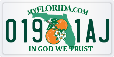 FL license plate 0191AJ