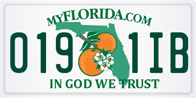 FL license plate 0191IB
